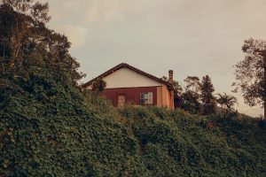 a brown white house on top of a hill surrounded by grass and trees